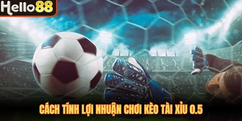 Kèo Tài Xỉu 0.5 - Thể Loại Cá Cược Bóng Đá Lợi Nhuận Tốt