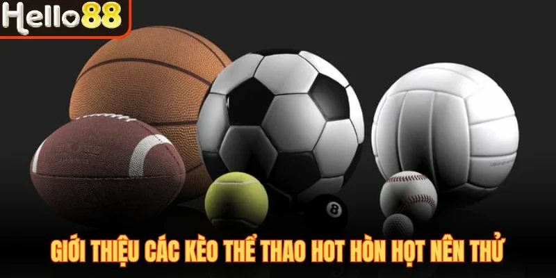 Thể Thao Hello88 - Sân Cược Đẳng Cấp Cho Mọi Tín Đồ 2026