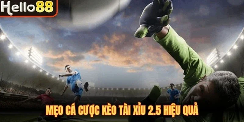 Kèo Tài Xỉu 2.5 - Hình Thức Cá Cược Bàn Thắng Hấp Dẫn