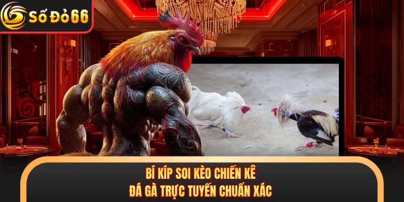 Đá Gà SODO66 - Đấu Trường Sản Sinh Ra Hàng Loạt Triệu Phú
