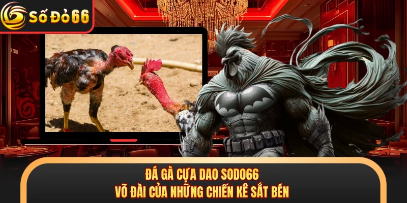 Đá Gà SODO66 - Đấu Trường Sản Sinh Ra Hàng Loạt Triệu Phú