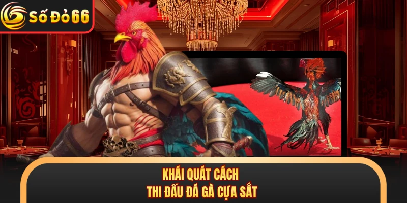 Đá Gà Cựa Sắt SODO66 - Mãn Nhãn Với Từng Đòn Chí Mạng