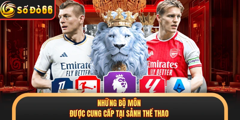 Thể Thao SODO66 - Càn Quét Thế Giới Kèo Cược Kịch Tính