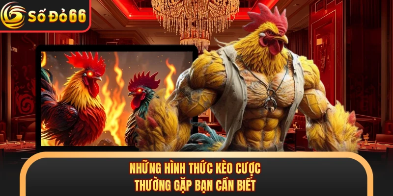 Đá Gà Cựa Sắt SODO66 - Mãn Nhãn Với Từng Đòn Chí Mạng