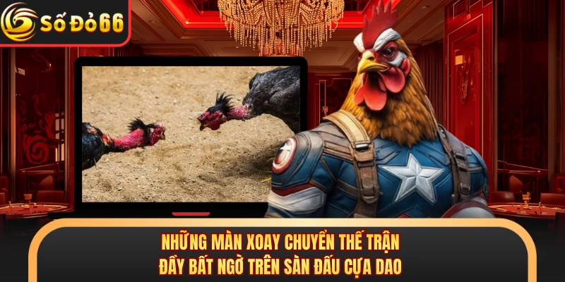 Đá Gà Cựa Dao SODO66 - Võ Đài Của Những Chiến Kê Sắt Bén