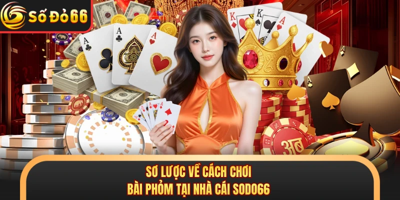 Cách Chơi Bài Phỏm Chuẩn Quy Định Của Nhà Cái SODO66