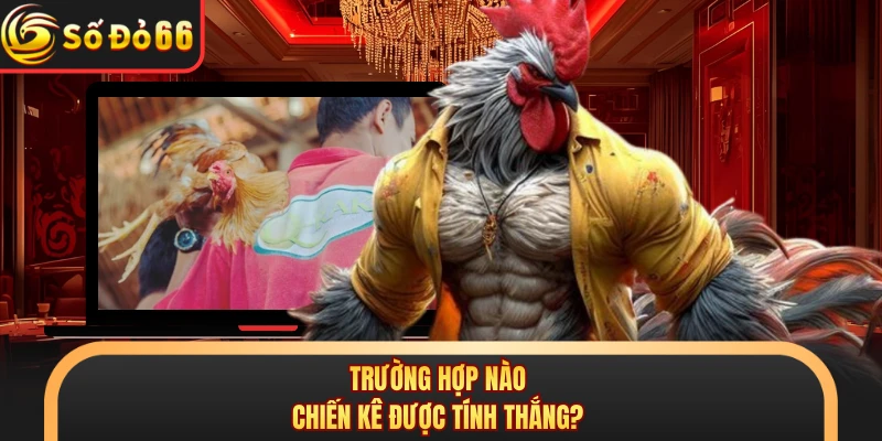 Đá Gà Cựa Sắt SODO66 - Mãn Nhãn Với Từng Đòn Chí Mạng